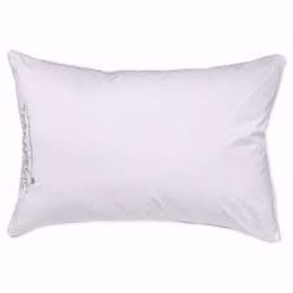 Picture of PILLOW